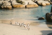 cluster behavior analysis metrics