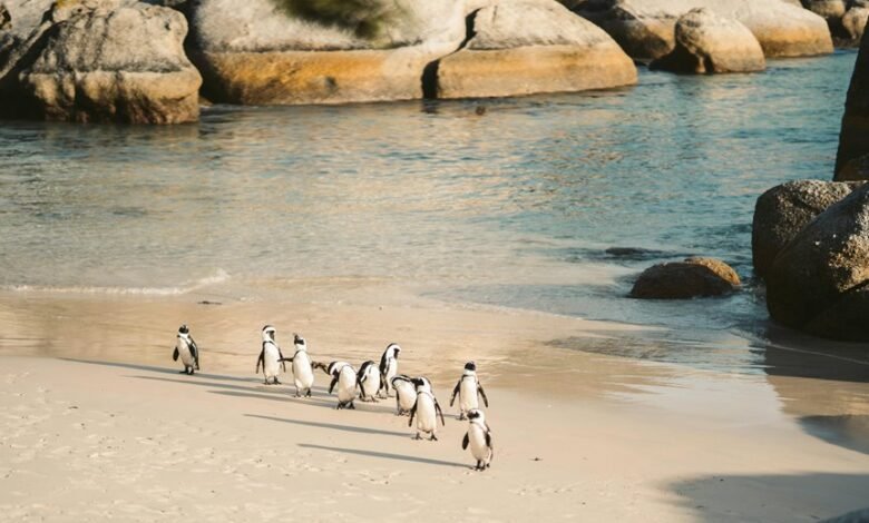 cluster behavior analysis metrics