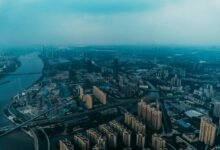 cohort expansion logbook entries