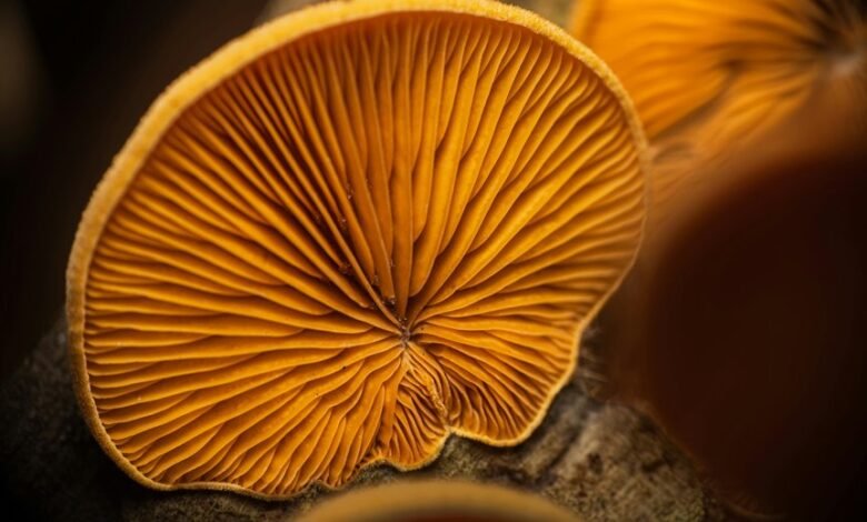 growth pattern data records