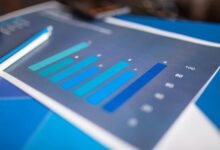 macro trend insight analysis