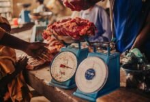 market momentum calibration records