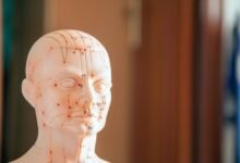 numerical data summary list