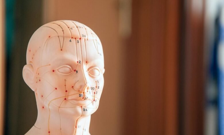 numerical data summary list