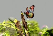 numerical sequence variance analysis