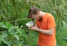 sector growth tracking data