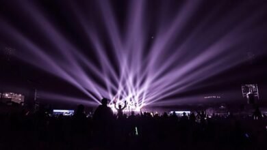 audience maximizer marketing prism