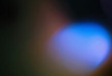 revenue analysis for nova