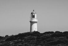 sales focus during marketing lighthouse momentum