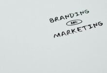 seo maximizer branding and code name