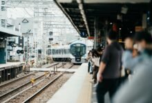 build your online authority digital platform 5184575434