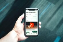 elevate digital growth online services