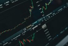 scale online platform marketing experts