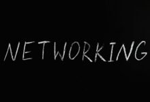 network technical scan dazeeha xotros boxer photoacompn
