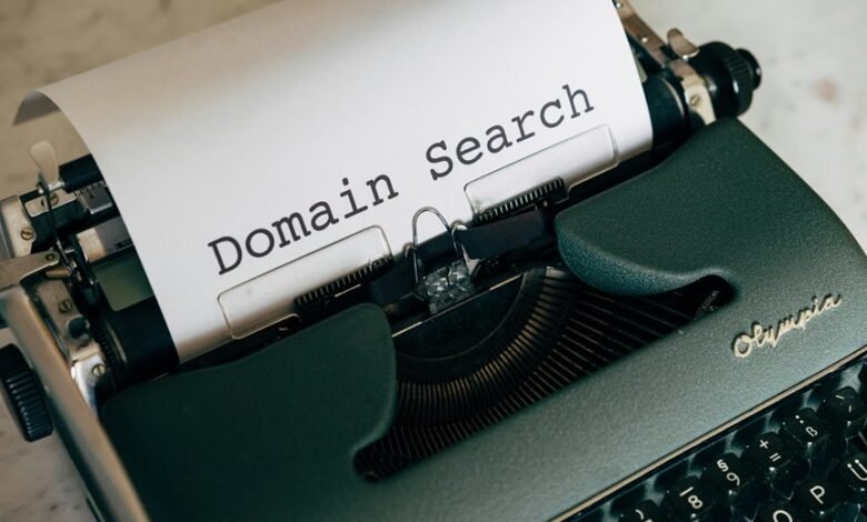 web domain names and foreign terms