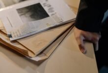 registry investigation numbers and statuses summarized