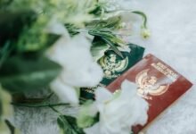 registry investigation records for specific numbers