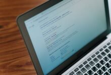 registry lookup results for five ids
