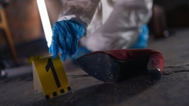 review numbers and registry evidence