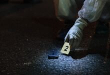 track numbers search evidence provided